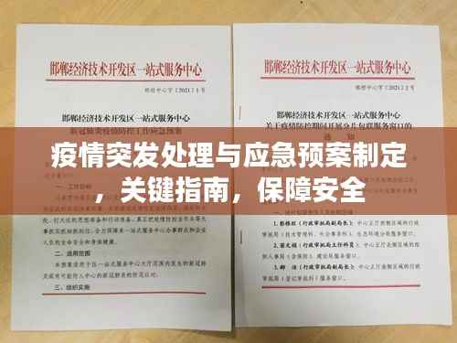 疫情突发处理与应急预案制定，关键指南，保障安全