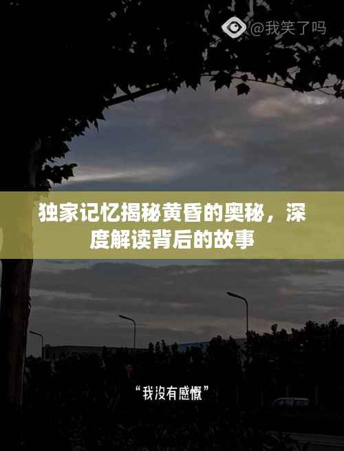 独家记忆揭秘黄昏的奥秘，深度解读背后的故事