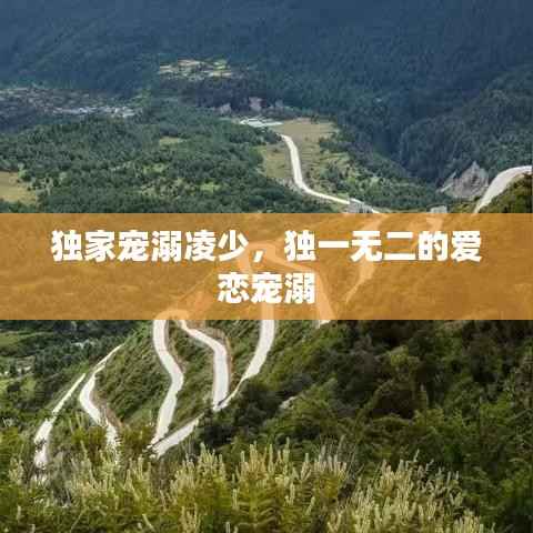 独家宠溺凌少，独一无二的爱恋宠溺