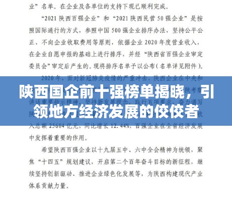 陕西国企前十强榜单揭晓，引领地方经济发展的佼佼者