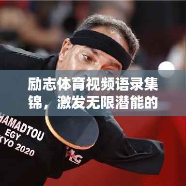 励志体育视频语录集锦，激发无限潜能的力量之言！