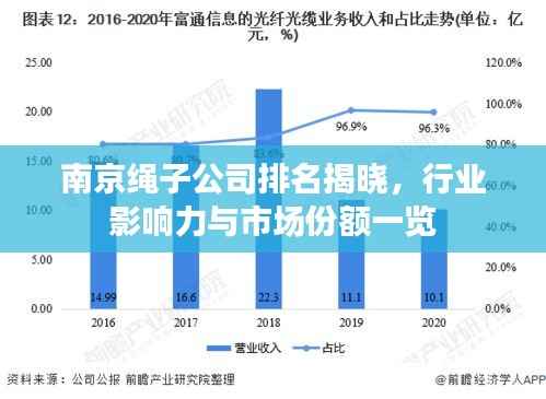 南京绳子公司排名揭晓，行业影响力与市场份额一览
