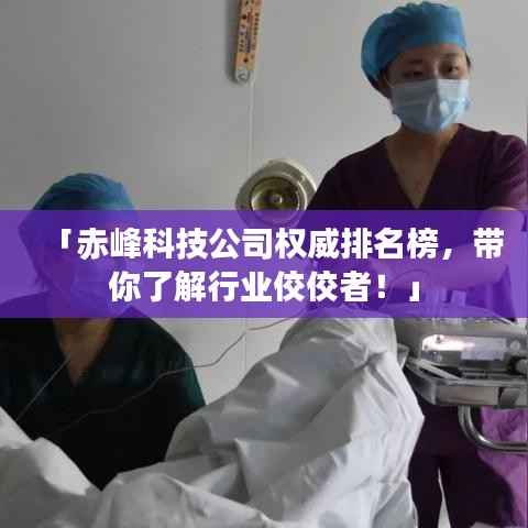 「赤峰科技公司权威排名榜，带你了解行业佼佼者！」