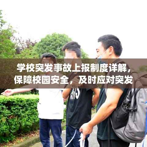 学校突发事故上报制度详解，保障校园安全，及时应对突发事件