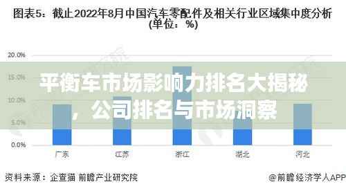 平衡车市场影响力排名大揭秘，公司排名与市场洞察