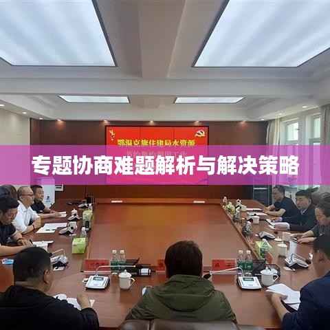 专题协商难题解析与解决策略