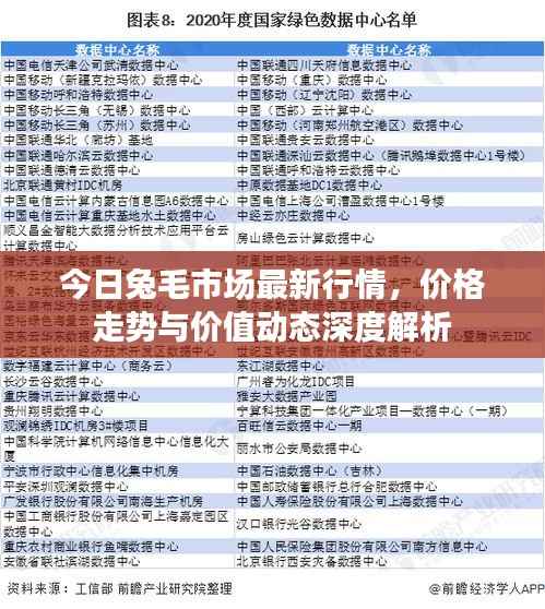 今日兔毛市场最新行情，价格走势与价值动态深度解析