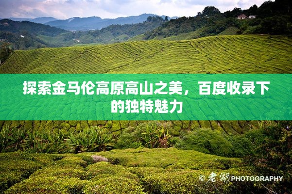 以卵就石 第4页