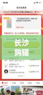长沙购猫砍价事件内幕揭秘，最新进展与消息汇总