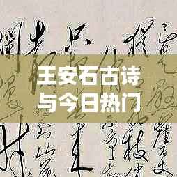 王安石古诗与今日热门新闻交相辉映，不容错过的精彩解读