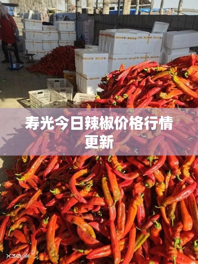 夸夸其谈 第4页