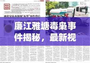 廉江雅塘毒枭事件揭秘，最新视频报道重磅来袭