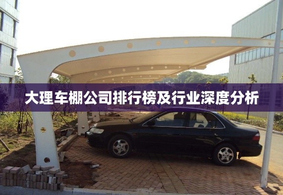 大理车棚公司排行榜及行业深度分析