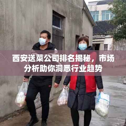 西安送菜公司排名揭秘，市场分析助你洞悉行业趋势