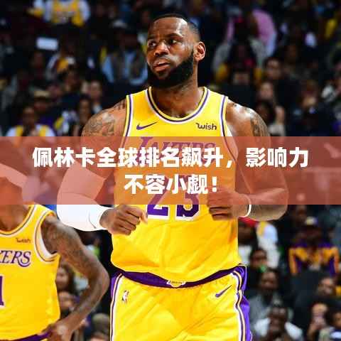 佩林卡全球排名飙升，影响力不容小觑！