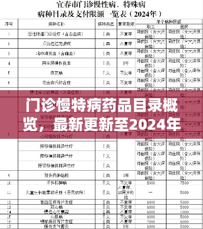 门诊慢特病药品目录概览，最新更新至2024年