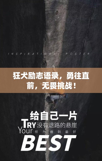 狂犬励志语录，勇往直前，无畏挑战！