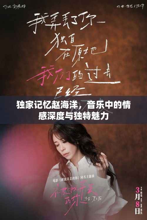 独家记忆赵海洋，音乐中的情感深度与独特魅力