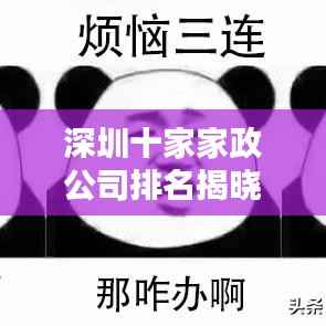 深圳十家家政公司排名揭晓，行业影响力不容小觑
