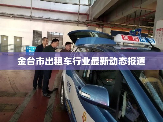 金台市出租车行业最新动态报道