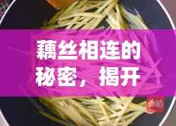 藕丝相连的秘密，揭开藕与丝的神秘面纱