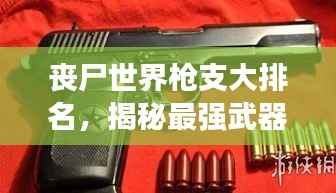丧尸世界枪支大排名，揭秘最强武器榜单！