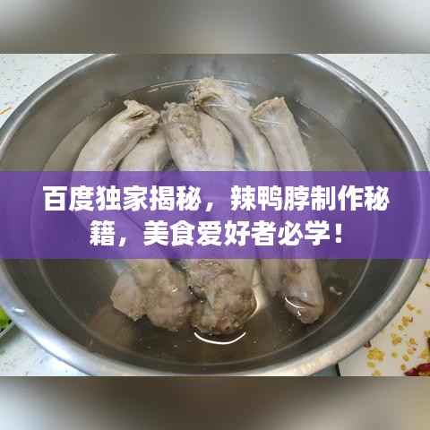 百度独家揭秘，辣鸭脖制作秘籍，美食爱好者必学！