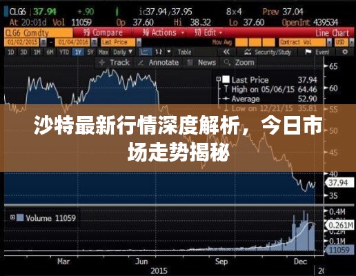 沙特最新行情深度解析，今日市场走势揭秘