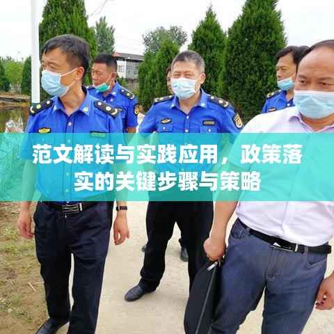 范文解读与实践应用，政策落实的关键步骤与策略