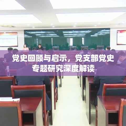 党史回顾与启示，党支部党史专题研究深度解读