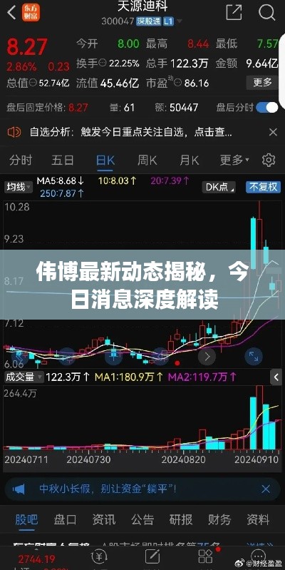 伟博最新动态揭秘，今日消息深度解读