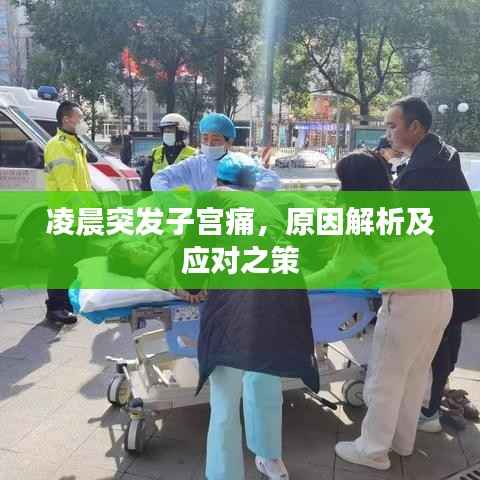 凌晨突发子宫痛，原因解析及应对之策
