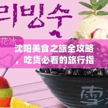 沈阳美食之旅全攻略，吃货必看的旅行指南！