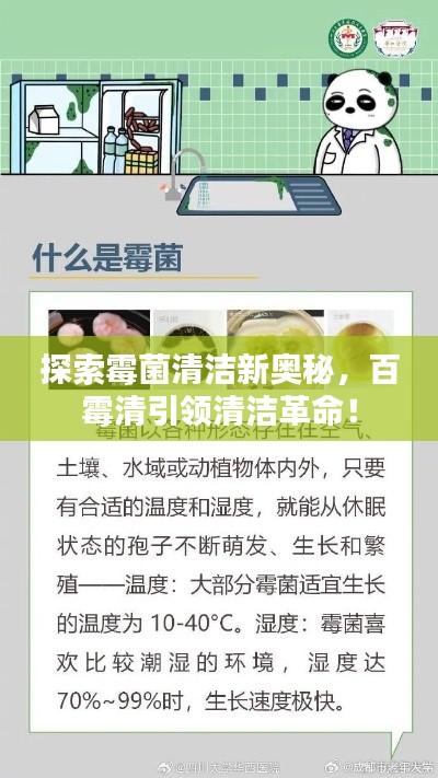 探索霉菌清洁新奥秘，百霉清引领清洁革命！