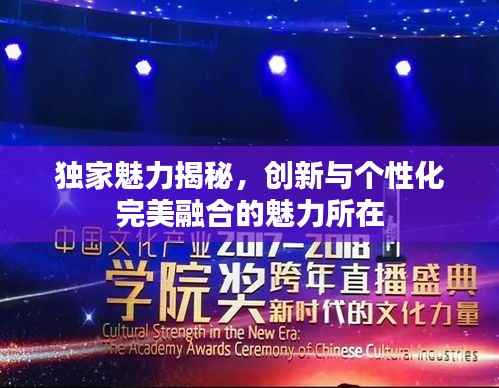 独家魅力揭秘，创新与个性化完美融合的魅力所在