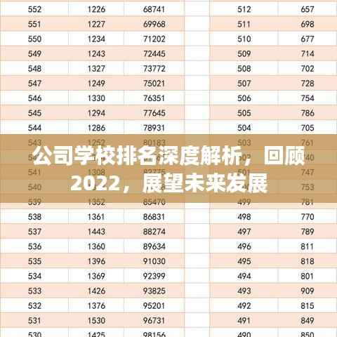 公司学校排名深度解析，回顾2022，展望未来发展