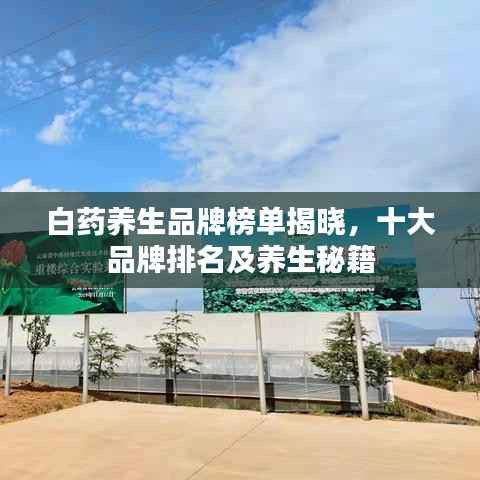 难能可贵 第4页