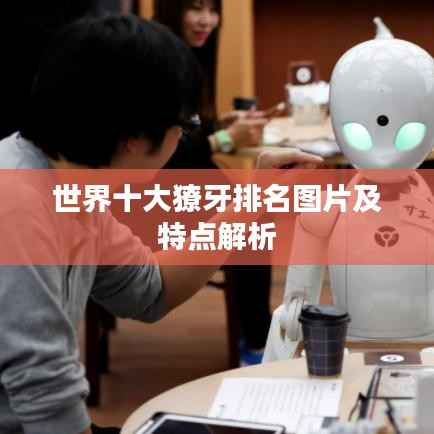 粗制滥造 第4页