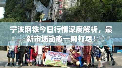 宁波钢铁今日行情深度解析，最新市场动态一网打尽！