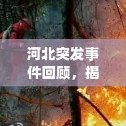 河北突发事件回顾，揭秘2016年突发事件全貌