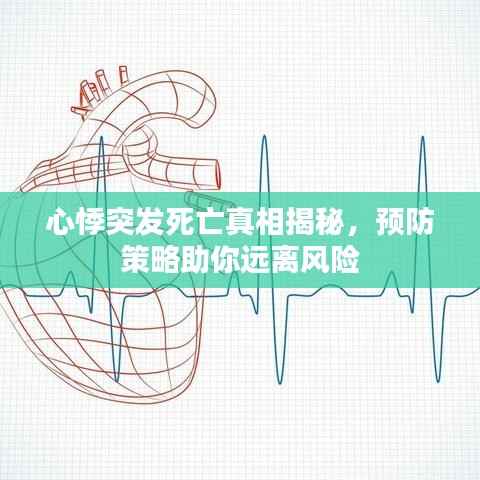 心悸突发死亡真相揭秘，预防策略助你远离风险