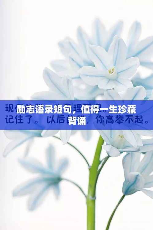 省吃细用 第5页