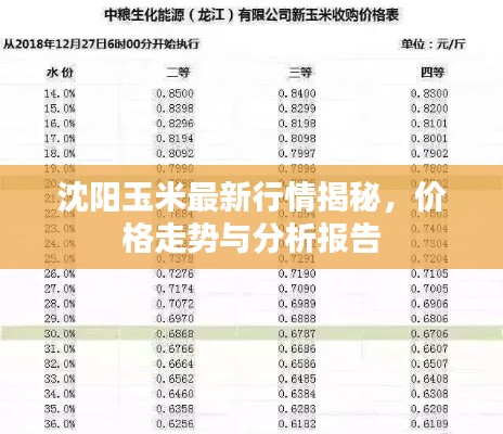 沈阳玉米最新行情揭秘，价格走势与分析报告