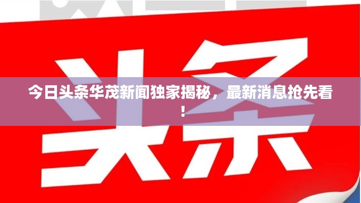 今日头条华茂新闻独家揭秘，最新消息抢先看！