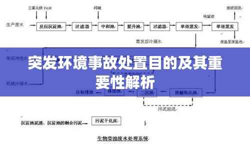 突发环境事故处置目的及其重要性解析