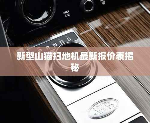 新型山猫扫地机最新报价表揭秘