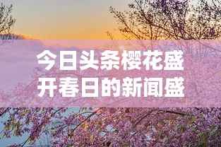 今日头条樱花盛开春日的新闻盛宴