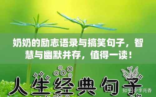 奶奶的励志语录与搞笑句子，智慧与幽默并存，值得一读！