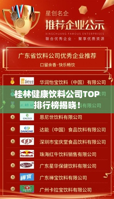 桂林健康饮料公司TOP排行榜揭晓！