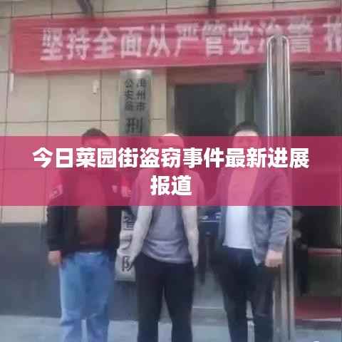 今日菜园街盗窃事件最新进展报道